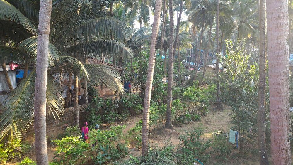 La Alegro Hotel Palolem Eksteriør billede